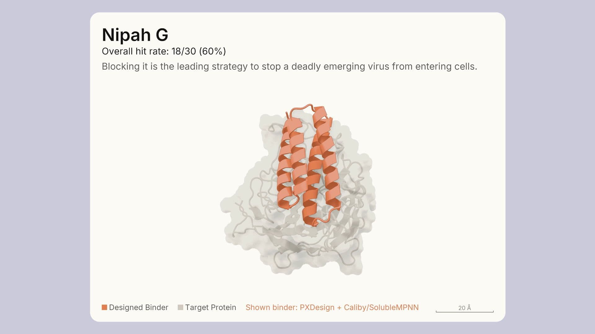 Visualization of Claude-designed protein binders (orange) bound to 12 targets (grey)